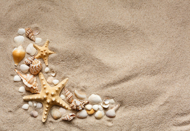 ヒトデ 砂浜 アンティーク イラスト スタンプ スター ハンコ フランス フレンチ レトロ ヴィンテージ 星形 標本 海 生き物 有名なブランド 海