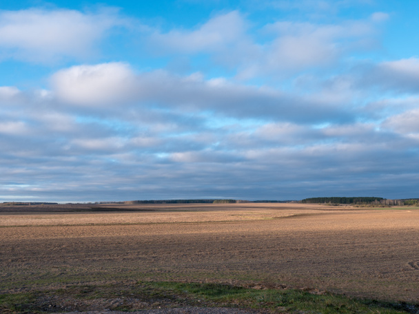 nuvole che galleggiano su un campo con raccolti all'alba 2020
 - Foto, immagini