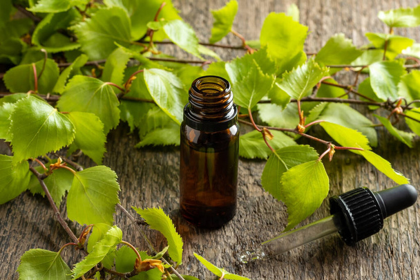 Una botella oscura de aceite esencial con ramas de abedul frescas
 - Foto, Imagen