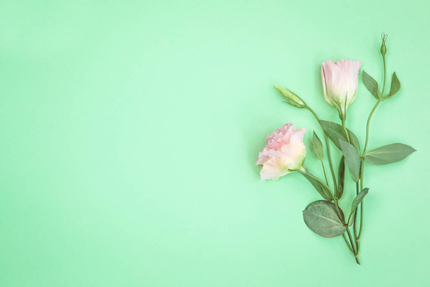 Beautiful pink eustoma flowers and buds lying on trendy mint background. Pastel colored floral border. Modern simple minimalist design composition for any purposes. Top view, flat lay, copy space. - Photo, Image