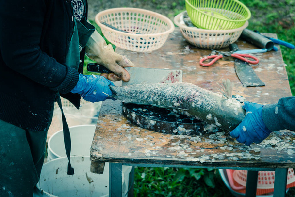 Vietnamilaiset kalakauppiaat käyttävät veistä kalannahkaharjan kaavintaan Aasian kelluvilla markkinoilla Houstonissa, Texasissa, Yhdysvalloissa
 - Valokuva, kuva
