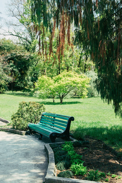 osamělá lavička ve veřejném parku bez lidí na pozadí letních zelených stromů a keřů, vertikální venkovní stock fotografie - Fotografie, Obrázek