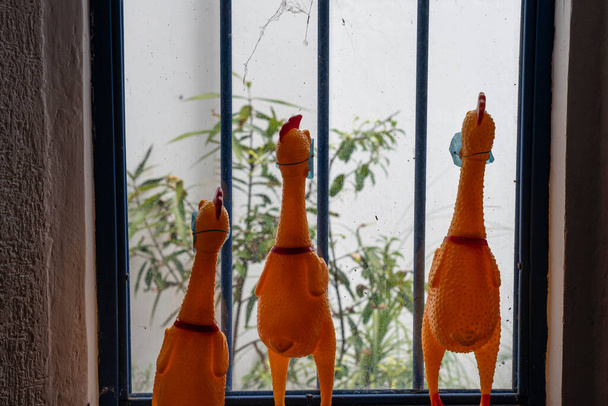 Três galinhas de borracha olhando para a janela em um dia ensolarado durante a quarentena
 - Foto, Imagem
