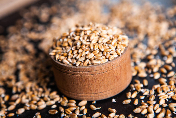 Farina di grano integrale isolata. Grano di grano come sfondo texture, vista dall'alto
. - Foto, immagini