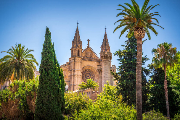 Cathédrale de Palma de Majorque, Majorque, Îles Baléares, Espagne
 - Photo, image