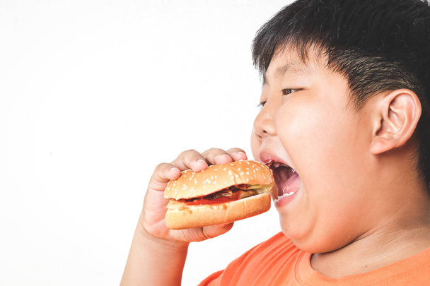 Asian fat boy eats hamburgers. Food concepts that cause children's physical health problems Causing easy diseases such as obesity. White background. isolated. copy space - Photo, image