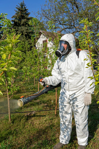 Man in Coveralls With Gas Mask Spraying Orchard With Backpack Atomizer Sprayer. Farmer in Protective Clothing Spraying Orchard in Springtime. Farmer Sprays Trees With Toxic Pesticides or Insecticide. - Foto, Bild