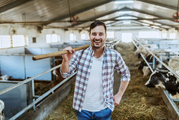 Handsome smiling unshaven caucasian farmer standing in stable with hay fork on shoulder. In background are calves and cows. - Φωτογραφία, εικόνα