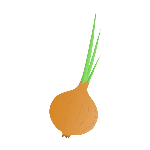 Fresh vegetable onion on a white background - Вектор,изображение