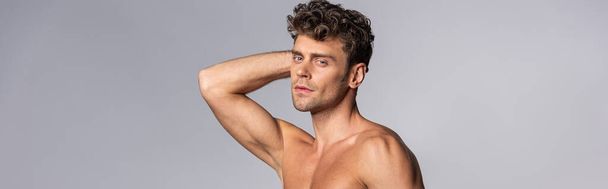horizontal crop of muscular man touching hair and looking at camera isolated on grey  - Zdjęcie, obraz