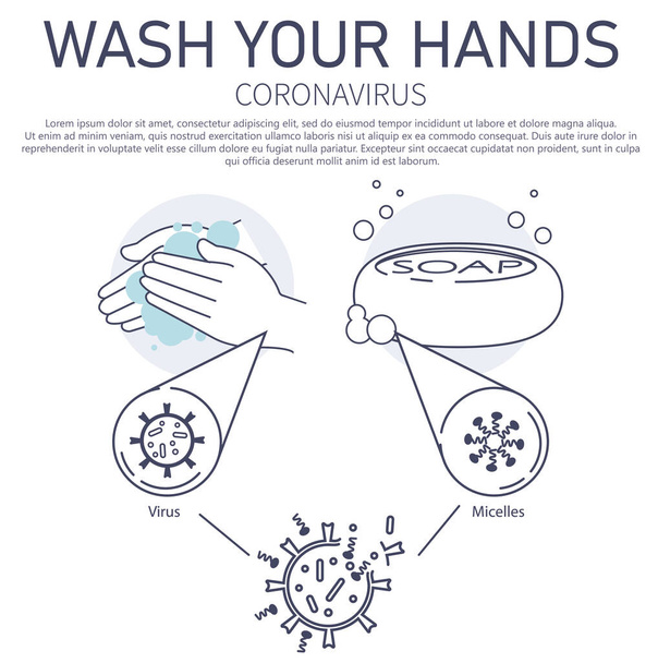 Lavarse las manos con jabón. Micelles. Infografías de lavado a mano. Jabón bajo el microscopio. Cuidado personal. Combatir la propagación del coronavirus. EPS 10 ilustración vectorial
 - Vector, Imagen