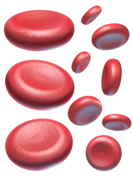 Cellules sanguines rouges isolées sur fond blanc
 - Photo, image