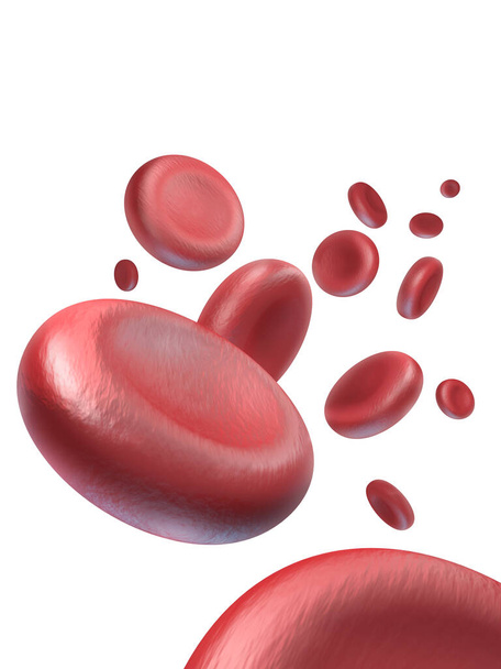 červené krvinky izolované na bílém pozadí - Fotografie, Obrázek