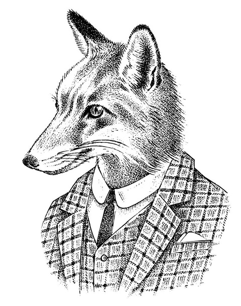 Fox dressed up in Suit. Aristocrat or old gentleman. Fashion Animal character in office style. Hand drawn Anthropomorphism sketch. Vector engraved illustration for label, logo and T-shirts or tattoo. - Vector, Image