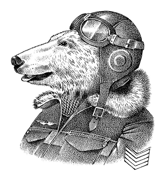 Urso polar vestido de piloto ou aviador. Flyboy ou skyman. Desenho de personagem de moda animal. Antropomorfismo desenhado à mão. Ilustração gravada em vetor para etiqueta, logotipo e camisetas ou tatuagem
. - Vetor, Imagem