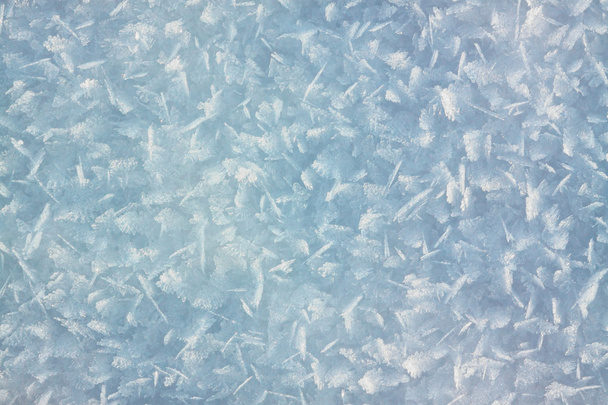 Snow crystals - Foto, imagen