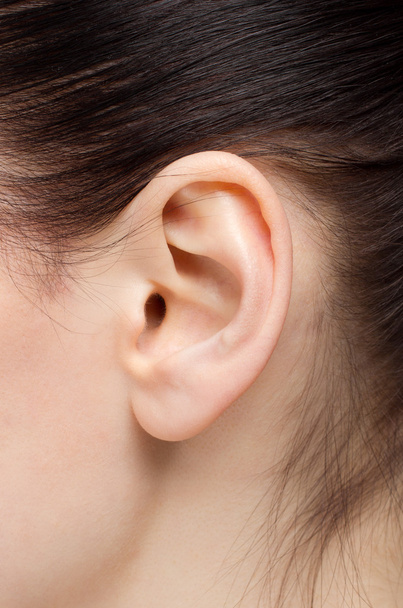 Beautiful human ear - Photo, Image
