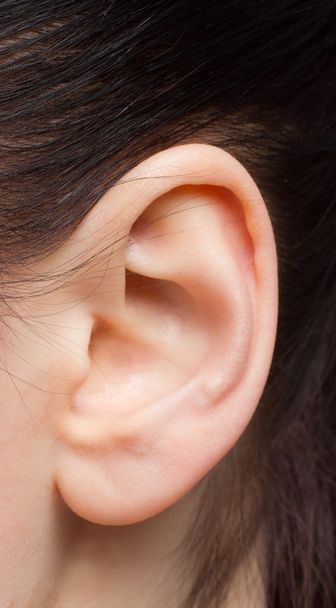 Beautiful human ear - Фото, изображение