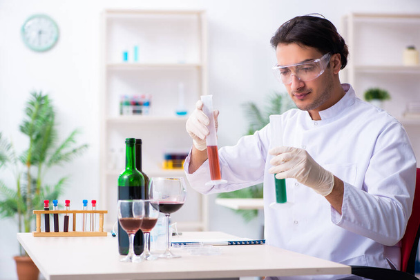 Mies kemisti tutkii viininäytteitä laboratoriossa - Valokuva, kuva
