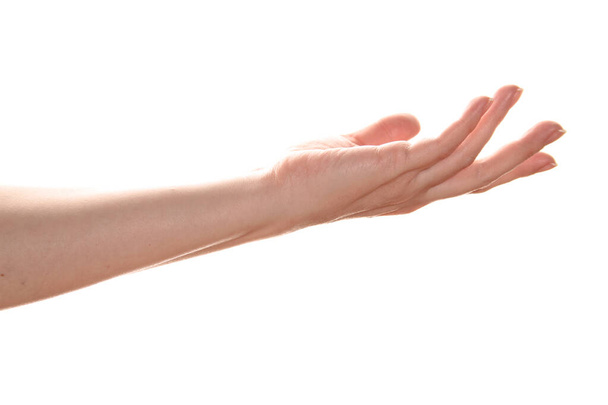 Female european hand with palm up. Isolated on white background - Photo, Image