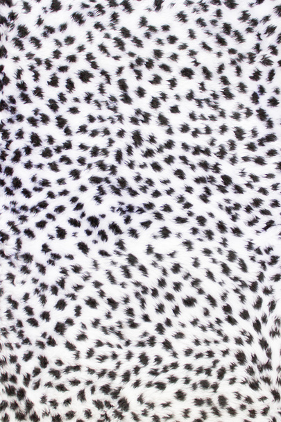 Texture of leopard fur - Photo, Image
