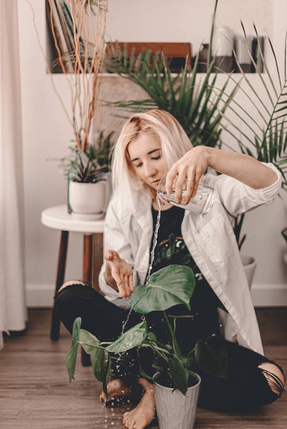 Home plant mama. Evergreen apartment living. Plant parents. Crazy plant lady. Succulent, cactus, Boston fern, palm tree. Bohemian style living room. Authentic living. Selected focus - Foto, immagini