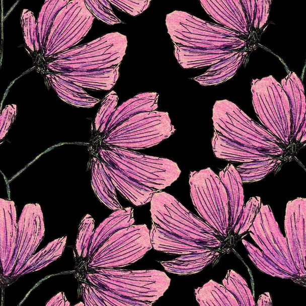 Seamless pattern with cosmea flowers. Hand drawn with colored pencils. Botany sketch. Pink and purple. Black line. Spring and summer. For postcards, wallpaper, scrapbooking, textile and wrapping paper - 写真・画像