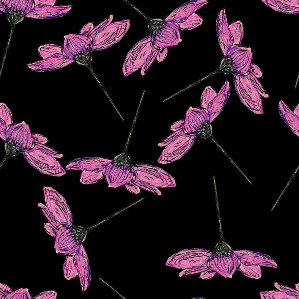Seamless pattern with cosmea flowers. Hand drawn with colored pencils. Botany sketch. Pink and purple. Black line. Spring and summer. For postcards, wallpaper, scrapbooking, textile and wrapping paper - Foto, imagen