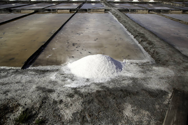 Minas de sal en Aveiro, detalle de la extracción de sal, turismo en Europa
 - Foto, imagen