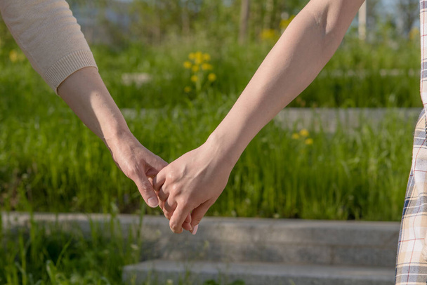 二人の女性が手をつないで公園を歩いている - 写真・画像