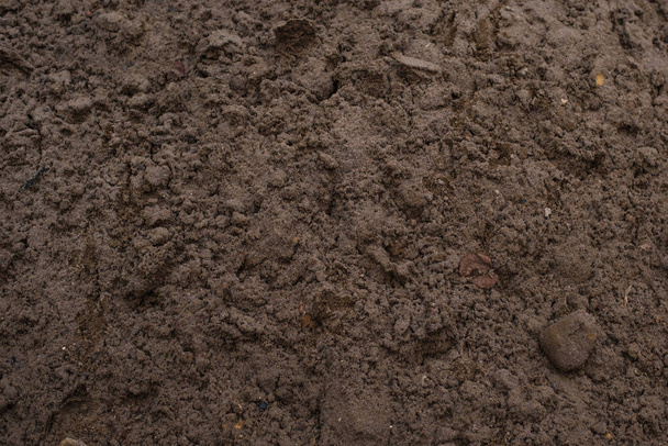 franco arenoso - fondo del suelo, textura
 - Foto, Imagen