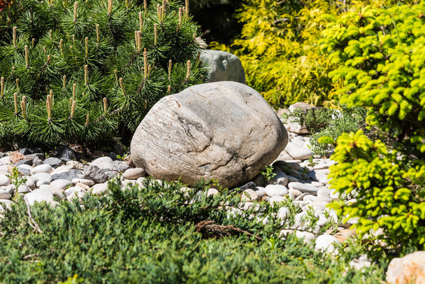 Landscape design, an element of rockery - a beautiful composition of stones and plants - Foto, Bild