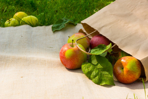 Bahçedeki kağıt torbada taze elmalar, kırsal tekstil arka planı, kopyalama alanı. - Fotoğraf, Görsel