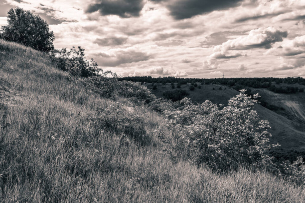 Trees on a hill in the background of thunderclouds, black and white landscape - Valokuva, kuva