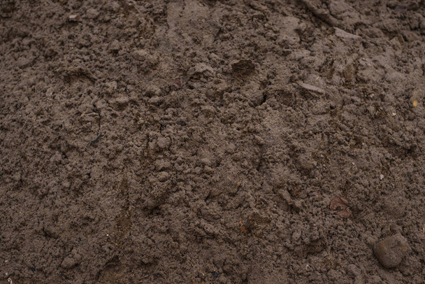 Sandy loam - soil background, texture - Photo, Image