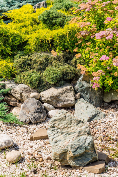 Element of landscape design - rockeries with mountain plants and stones - Foto, immagini