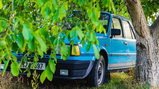 coche viejo bajo un árbol verde en la República Checa
 - Foto, imagen