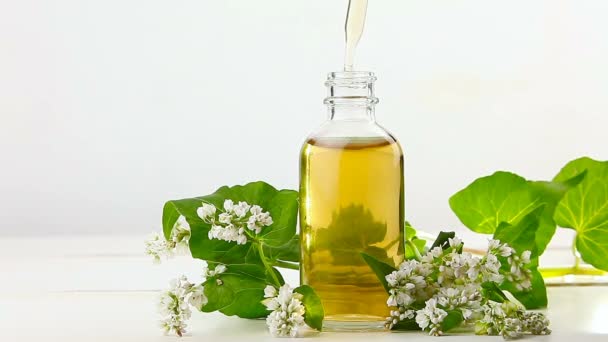 aceite esencial de trigo sarraceno común en hermosa botella sobre fondo blanco
 - Imágenes, Vídeo