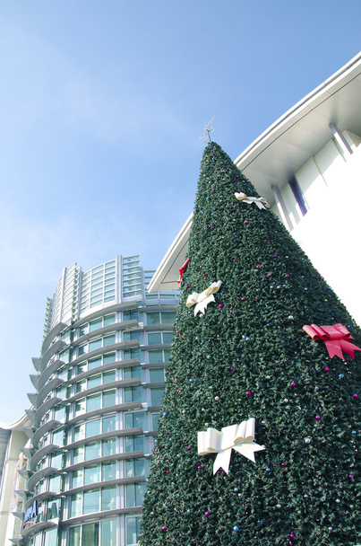 建物の前にクリスマス ツリー - 写真・画像