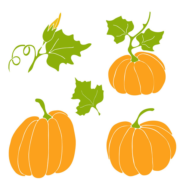 Set of orange pumpkin for halloween of autumn. Vector hand draw  Illustration EPS10 - Vetor, Imagem
