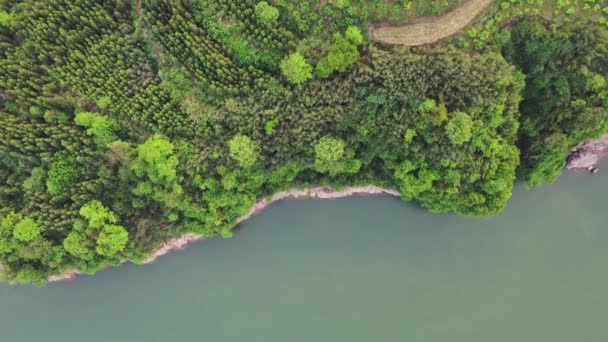 Luftaufnahme einer herzförmigen Grube, die mit Wasser gefüllt und von Bäumen und Pflanzen umhüllt ist, in Maoyanhe Scenic Aera in der Stadt Zhangjiajie in der zentralchinesischen Provinz Hunan, 16. April 2020. - Filmmaterial, Video