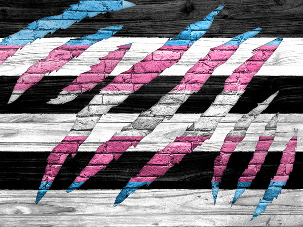 Ilustrace transgenderové vlajky namalované v cihlové texturované zdi, která se objevuje mezi trhlinami v černobílém pozadí - Fotografie, Obrázek