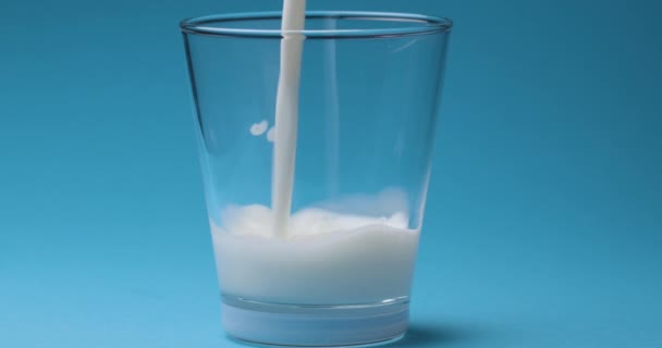 Milk is poured into a milk glass on a blue background. - Felvétel, videó