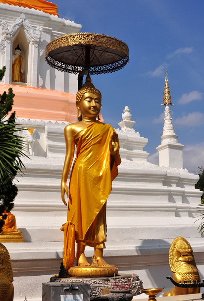 Chiang Mai, Thailand: Standing Buddha at Wat Changkam - Valokuva, kuva
