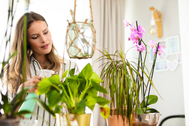 house plants need attention, young woman spraying water on the plants that are inside the house - Foto, Imagem