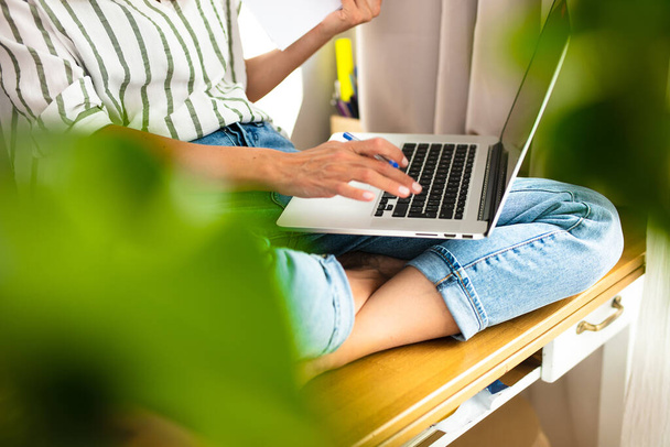 work from home or studding online, concept with a woman working at laptop inside the house, next to a bright window and the houseplant - Photo, image