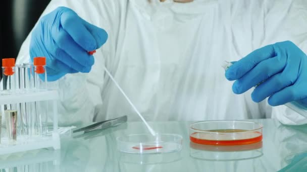 A man doing a microbiological examination of samples in a laboratory with a petri dish - Video, Çekim