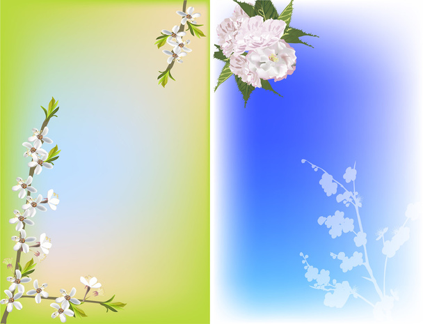 cherry tree flowers on green and blue background - Vector, Image