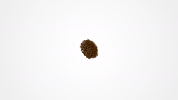 Abstract realistic 3D coffee bean explosion with coffee dust with alpha matte. 4K render animation footage. Slow motion. - Séquence, vidéo