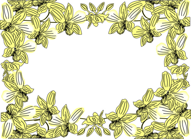 yellow orchids frame sketch isolated on white - Vetor, Imagem